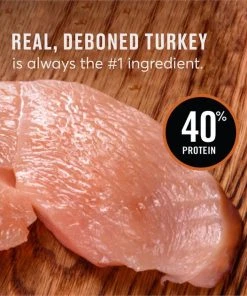 American Journey Turkey & Chicken Recipe Grain-Free Dry Cat Food -American Journey Sales 2024 131581 PT7. SY630 V1607398654