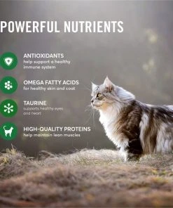 American Journey Duck Recipe Grain-Free Dry Cat Food -American Journey Sales 2024 131583 PT4. SY630 V1607392049