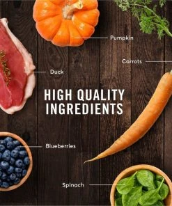 American Journey Duck Recipe Grain-Free Dry Cat Food -American Journey Sales 2024 131583 PT5. SY630 V1607385427