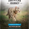 American Journey Salmon Recipe Grain-Free Dry Cat Food -American Journey Sales 2024 131587 MAIN. SY630 V1514493217