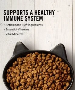 American Journey Salmon Recipe Grain-Free Dry Cat Food -American Journey Sales 2024 131587 PT3. SY630 V1607383629