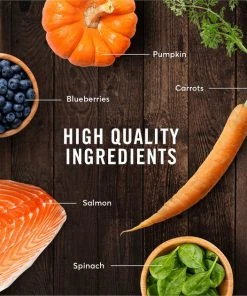 American Journey Salmon Recipe Grain-Free Dry Cat Food -American Journey Sales 2024 131587 PT5. SY630 V1607398658