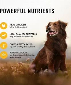 American Journey Chicken & Turkey Recipe Grain-Free Canned Dog Food 6 American Journey Chicken & Turkey Recipe Grain-Free Canned Dog Food -American Journey Sales 2024 133871 PT4. SY630 V1622822589