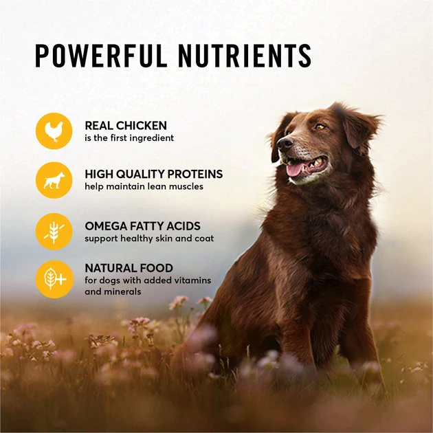 American Journey Chicken & Turkey Recipe Grain-Free Canned Dog Food, 12.5-oz, case of 12 American Journey Chicken & Turkey Recipe Grain-Free Canned Dog Food -American Journey Sales 2024 133871 PT4. SY630 V1622822589