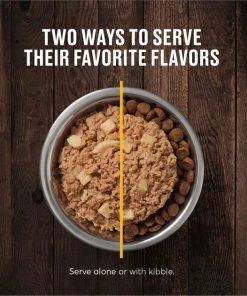 American Journey Chicken & Turkey Recipe Grain-Free Canned Dog Food 8 American Journey Chicken & Turkey Recipe Grain-Free Canned Dog Food -American Journey Sales 2024 133871 PT6. SY630 V1622822290