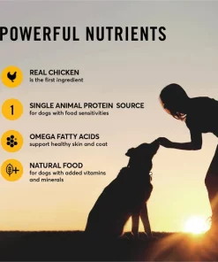 American Journey Limited Ingredient Diet Chicken & Sweet Potato Recipe Grain-Free Canned Dog Food, 12.5-oz, case of 12 -American Journey Sales 2024 133873 PT4. SY630 V1623100390