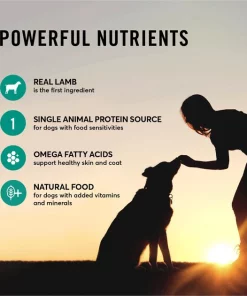 American Journey Limited Ingredient Diet Lamb & Sweet Potato Recipe Grain-Free Canned Dog Food -American Journey Sales 2024 133875 PT4. SY630 V1623100347