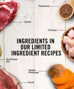 American Journey Limited Ingredient Diet Lamb & Sweet Potato Recipe Grain-Free Canned Dog Food -American Journey Sales 2024 133875 PT5. SY630 V1623100644