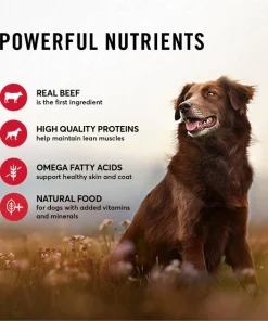 American Journey Stews Beef & Vegetables Recipe in Gravy Grain-Free Canned Dog Food 6 American Journey Stews Beef & Vegetables Recipe in Gravy Grain-Free Canned Dog Food -American Journey Sales 2024 133879 PT4. SY630 V1622822287