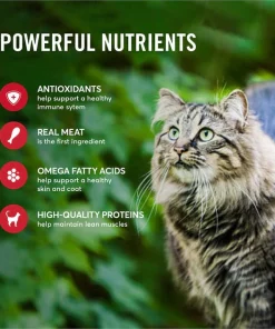 American Journey Pate Beef & Chicken Recipe Grain-Free Canned Cat Food -American Journey Sales 2024 133890 PT4. SY630 V1610772310