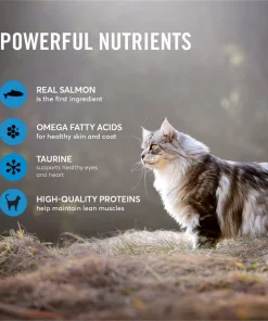 American Journey Pate Salmon Recipe Grain-Free Canned Cat Food 5 American Journey Pate Salmon Recipe Grain-Free Canned Cat Food -American Journey Sales 2024 133901 PT3. SY630 V1626382946