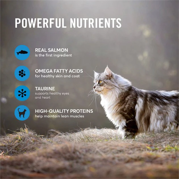 American Journey Pate Salmon Recipe Grain-Free Canned Cat Food, 3-oz, case of 24 American Journey Pate Salmon Recipe Grain-Free Canned Cat Food -American Journey Sales 2024 133901 PT3. SY630 V1626382946