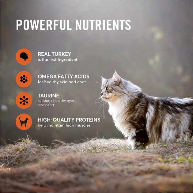 American Journey Pate Turkey Recipe Grain-Free Canned Cat Food, 3-oz, case of 24 American Journey Pate Turkey Recipe Grain-Free Canned Cat Food -American Journey Sales 2024 133905 PT3. SY630 V1626382881