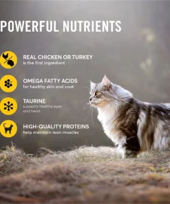 American Journey Paté Poultry & Seafood Variety Pack Grain-Free Canned Cat Food 6 American Journey Paté Poultry & Seafood Variety Pack Grain-Free Canned Cat Food -American Journey Sales 2024 133924 PT4. SY630 V1627654963