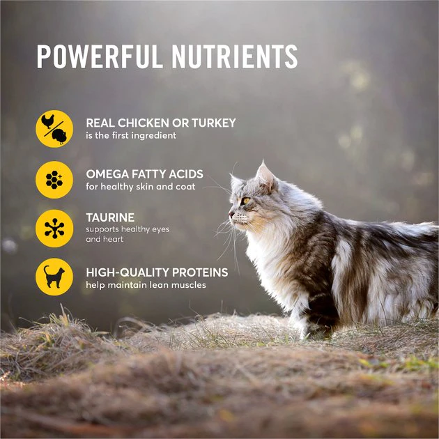 American Journey Paté Poultry & Seafood Variety Pack Grain-Free Canned Cat Food, 12.5-oz, case of 12 American Journey Paté Poultry & Seafood Variety Pack Grain-Free Canned Cat Food -American Journey Sales 2024 133924 PT4. SY630 V1627654963