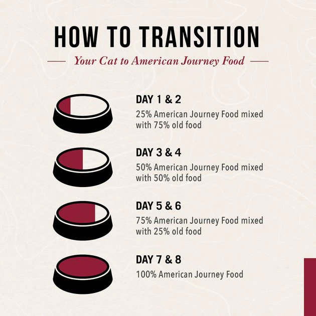 American Journey Pate Poultry Variety Pack Grain-Free Canned Cat Food, 12.5-oz, case of 12 American Journey Pate Poultry Variety Pack Grain-Free Canned Cat Food -American Journey Sales 2024 133927 PT4. SY630 V1579025578