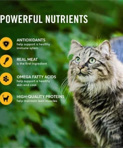 American Journey Minced Poultry & Seafood in Gravy Variety Pack Grain-Free Canned Cat Food -American Journey Sales 2024 133939 PT5. SY630 V1610766428