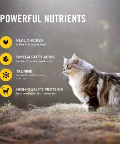 American Journey Minced Chicken & Turkey Recipe in Gravy Grain-Free Canned Cat Food 5 American Journey Minced Chicken & Turkey Recipe in Gravy Grain-Free Canned Cat Food -American Journey Sales 2024 133943 PT3. SY630 V1624995755