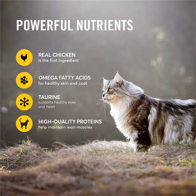 American Journey Minced Chicken & Turkey Recipe in Gravy Grain-Free Canned Cat Food, 3-oz, case of 24 American Journey Minced Chicken & Turkey Recipe in Gravy Grain-Free Canned Cat Food -American Journey Sales 2024 133943 PT3. SY630 V1624995755