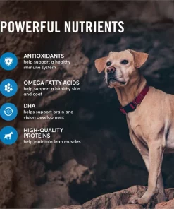 American Journey Large Breed Adult Salmon & Sweet Potato Recipe Grain-Free Dry Dog Food -American Journey Sales 2024 134061 PT4. SY630 V1607145431