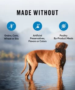 American Journey Large Breed Adult Salmon & Sweet Potato Recipe Grain-Free Dry Dog Food -American Journey Sales 2024 134061 PT6. SY630 V1607134636