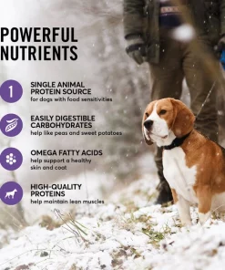 American Journey Limited Ingredient Venison & Sweet Potato Recipe Grain-Free Dry Dog Food 6 American Journey Limited Ingredient Venison & Sweet Potato Recipe Grain-Free Dry Dog Food -American Journey Sales 2024 140925 PT4. SY630 V1607383943