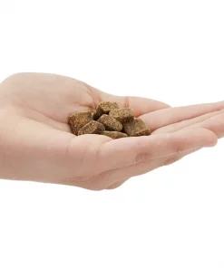 American Journey Chicken Recipe Grain-Free Soft & Chewy Training Bits Dog Treats -American Journey Sales 2024 151156 PT3. SY630 V1553098659