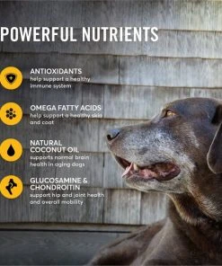 American Journey Senior Chicken & Sweet Potato Recipe Grain-Free Dry Dog Food -American Journey Sales 2024 151814 PT4. SY630 V1607154735