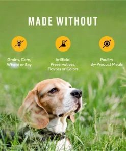 American Journey Senior Chicken & Sweet Potato Recipe Grain-Free Dry Dog Food -American Journey Sales 2024 151814 PT6. SY630 V1607149634