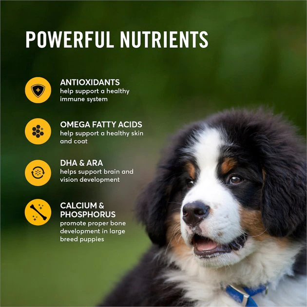 American Journey Large Breed Puppy Chicken & Sweet Potato Recipe Grain-Free Dry Dog Food, 24-lb bag American Journey Large Breed Puppy Chicken & Sweet Potato Recipe Grain-Free Dry Dog Food -American Journey Sales 2024 151816 PT4. SY630 V1607143036