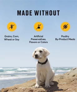 American Journey Large Breed Puppy Chicken & Sweet Potato Recipe Grain-Free Dry Dog Food 8 American Journey Large Breed Puppy Chicken & Sweet Potato Recipe Grain-Free Dry Dog Food -American Journey Sales 2024 151816 PT6. SY630 V1607131630