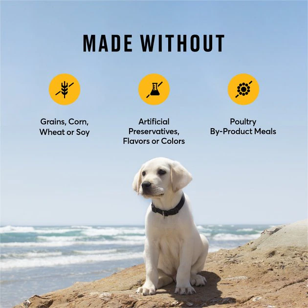 American Journey Large Breed Puppy Chicken & Sweet Potato Recipe Grain-Free Dry Dog Food, 24-lb bag American Journey Large Breed Puppy Chicken & Sweet Potato Recipe Grain-Free Dry Dog Food -American Journey Sales 2024 151816 PT6. SY630 V1607131630