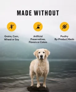 American Journey Healthy Weight Chicken & Sweet Potato Recipe Grain-Free Dry Dog Food 8 American Journey Healthy Weight Chicken & Sweet Potato Recipe Grain-Free Dry Dog Food -American Journey Sales 2024 151818 PT6. SY630 V1607136143