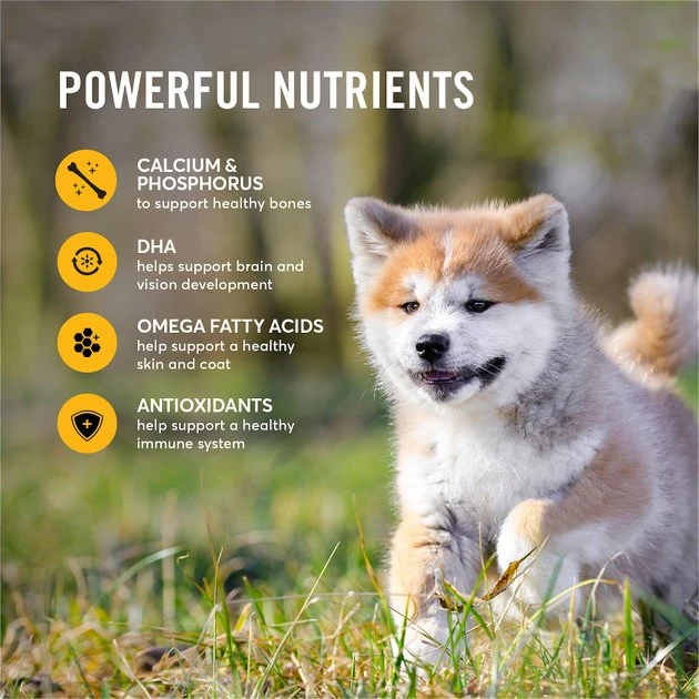 American Journey Active Life Formula Puppy Chicken, Brown Rice & Vegetables Recipe Dog Food, 28-lb bag American Journey Active Life Formula Puppy Chicken, Brown Rice & Vegetables Recipe Dog Food -American Journey Sales 2024 151822 PT5. SY630 V1594222559