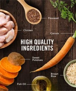 American Journey Active Life Formula Puppy Chicken, Brown Rice & Vegetables Recipe Dog Food 7 American Journey Active Life Formula Puppy Chicken, Brown Rice & Vegetables Recipe Dog Food -American Journey Sales 2024 151822 PT6. SY630 V1594222563