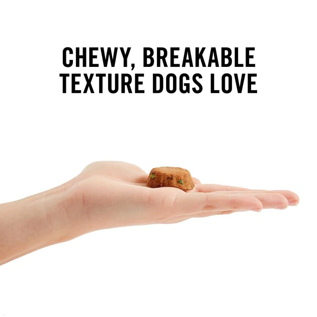 American Journey Beef Recipe Grain-Free Soft-Baked Dog Treats, 8-oz bag American Journey Beef Recipe Grain-Free Soft-Baked Dog Treats -American Journey Sales 2024 153912 PT3. SY630 V1632185302