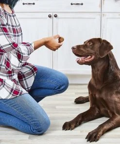 American Journey Turkey Recipe Grain-Free Soft-Baked Dog Treats 7 American Journey Turkey Recipe Grain-Free Soft-Baked Dog Treats -American Journey Sales 2024 153914 PT5. SY630 V1551800243