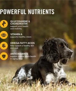 American Journey Active Life Formula Senior Chicken, Brown Rice & Vegetables Recipe Dry Dog Food 6 American Journey Active Life Formula Senior Chicken, Brown Rice & Vegetables Recipe Dry Dog Food -American Journey Sales 2024 153933 PT5. SY630 V1593700861