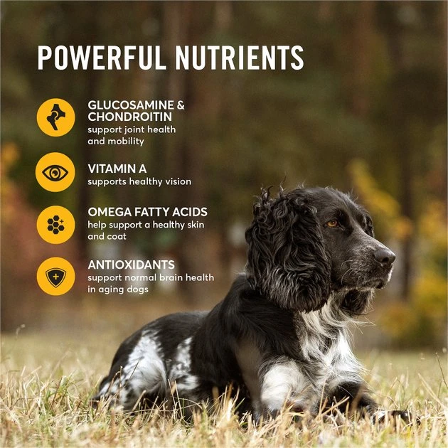 American Journey Active Life Formula Senior Chicken, Brown Rice & Vegetables Recipe Dry Dog Food, 28-lb bag American Journey Active Life Formula Senior Chicken, Brown Rice & Vegetables Recipe Dry Dog Food -American Journey Sales 2024 153933 PT5. SY630 V1593700861