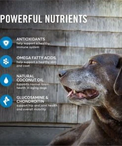 American Journey Senior Salmon & Sweet Potato Recipe Grain-Free Dry Dog Food, 24-lb bag 6 American Journey Senior Salmon & Sweet Potato Recipe Grain-Free Dry Dog Food, 24-lb bag -American Journey Sales 2024 183116 PT4. SY630 V1621603636