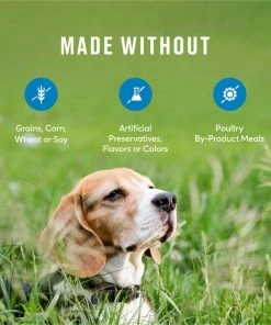 American Journey Senior Salmon & Sweet Potato Recipe Grain-Free Dry Dog Food, 24-lb bag 8 American Journey Senior Salmon & Sweet Potato Recipe Grain-Free Dry Dog Food, 24-lb bag -American Journey Sales 2024 183116 PT6. SY630 V1621603641