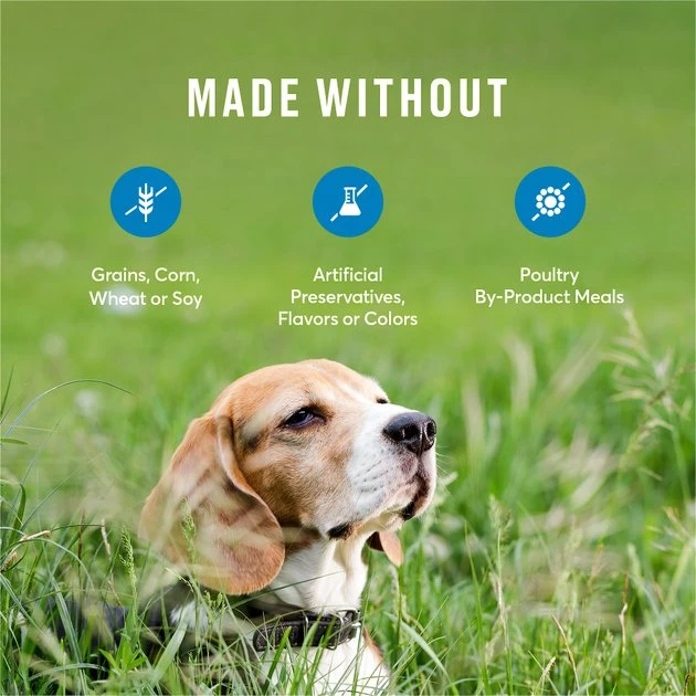 American Journey Senior Salmon & Sweet Potato Recipe Grain-Free Dry Dog Food, 24-lb bag American Journey Senior Salmon & Sweet Potato Recipe Grain-Free Dry Dog Food, 24-lb bag -American Journey Sales 2024 183116 PT6. SY630 V1621603641