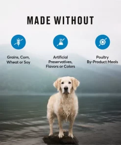 American Journey Healthy Weight Salmon & Sweet Potato Recipe Grain-Free Dry Dog Food, 24-lb bag 8 American Journey Healthy Weight Salmon & Sweet Potato Recipe Grain-Free Dry Dog Food, 24-lb bag -American Journey Sales 2024 183120 PT6. SY630 V1607145732