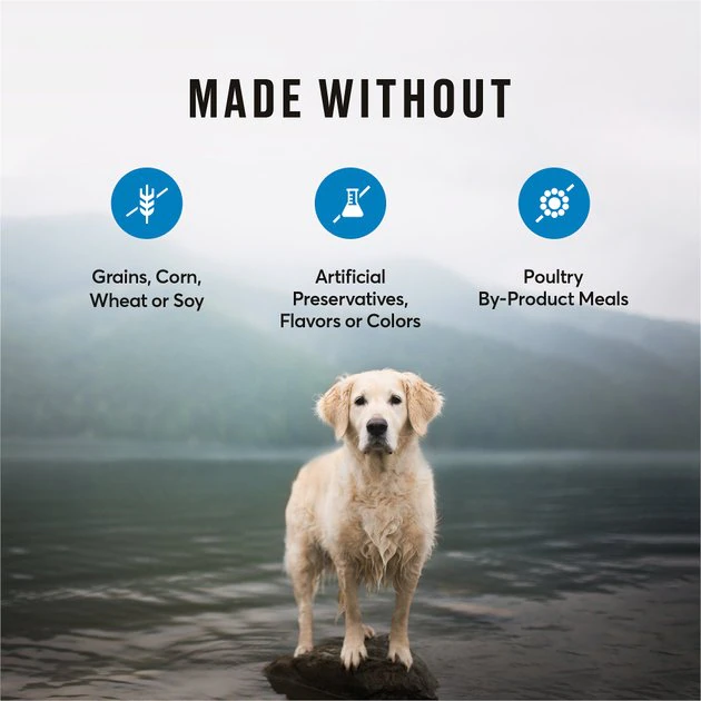 American Journey Healthy Weight Salmon & Sweet Potato Recipe Grain-Free Dry Dog Food, 24-lb bag American Journey Healthy Weight Salmon & Sweet Potato Recipe Grain-Free Dry Dog Food, 24-lb bag -American Journey Sales 2024 183120 PT6. SY630 V1607145732