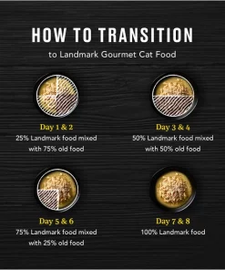 American Journey Landmark Salmon Recipe in Broth Grain-Free Canned Cat Food, 3-oz, case of 12 9 American Journey Landmark Salmon Recipe in Broth Grain-Free Canned Cat Food, 3-oz, case of 12 -American Journey Sales 2024 193500 PT7. SY630 V1582124305