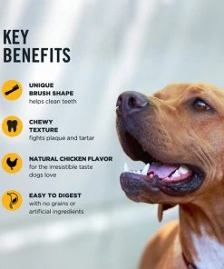 American Journey Large Grain-Free Original Dental Dog Treats -American Journey Sales 2024 213564 PT6. SY630 V1600468357