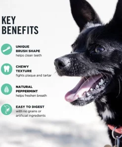 American Journey Extra-Small Grain-Free Fresh Dental Dog Treats 8 American Journey Extra-Small Grain-Free Fresh Dental Dog Treats -American Journey Sales 2024 213566 PT7. SY630 V1600462903