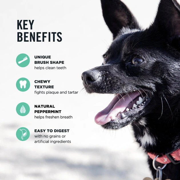 American Journey Extra-Small Grain-Free Fresh Dental Dog Treats, 36-oz bag, 130 count American Journey Extra-Small Grain-Free Fresh Dental Dog Treats -American Journey Sales 2024 213566 PT7. SY630 V1600462903