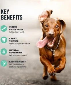 American Journey Small Grain-Free Fresh Dental Dog Treats 8 American Journey Small Grain-Free Fresh Dental Dog Treats -American Journey Sales 2024 213568 PT7. SY630 V1600469248