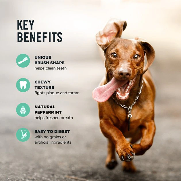 American Journey Small Grain-Free Fresh Dental Dog Treats, 36-oz bag, 60 count American Journey Small Grain-Free Fresh Dental Dog Treats -American Journey Sales 2024 213568 PT7. SY630 V1600469248